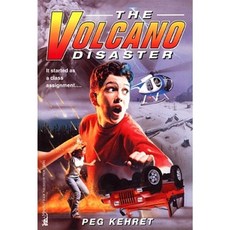 The Volcano Disaster Paperback, Aladdin Paperbacks