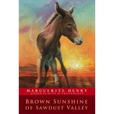 Brown Sunshine of Sawdust Valley Paperback, Aladdin Paperbacks