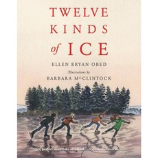 Twelve Kinds of Ice Paperback 2015년 11월 03일 출판, Houghton Mifflin