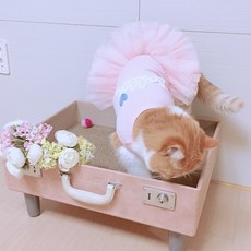 4cc0e8cc-1c12-46c5-a477-5dec3627905e.jpg
