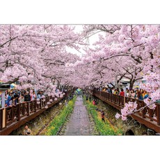 추천2 벚꽃축제