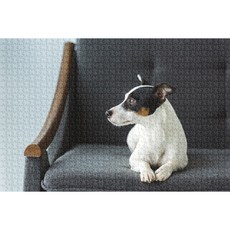24f1c285-2ff5-4fd3-81e1-bfb58cd8bd1d.jpg