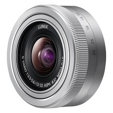 파나소닉 마이크로포서드 표준 줌렌즈 H-FS12032E, H-FS12032E(실버)