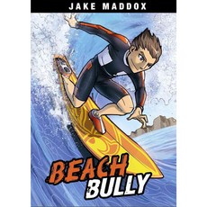 Beach Bully Stone Arch Books