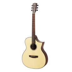 헥스 어쿠스틱 기타 F100CE, Matt