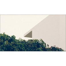 주방식물아트보드