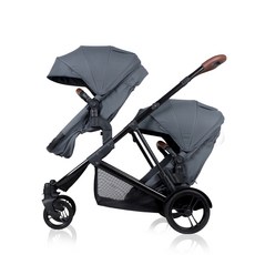 엘레니어세스토트윈