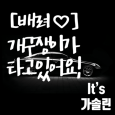 마이카