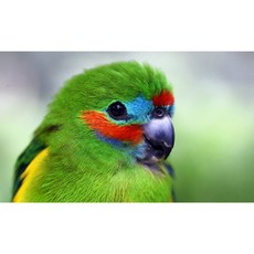 보보아트글라스