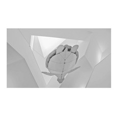 UVDS 주방아트보드 종이 거북이, 1개