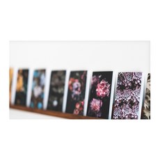 주방식물아트보드