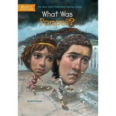 What Was Pompeii?, Penguin Workshop