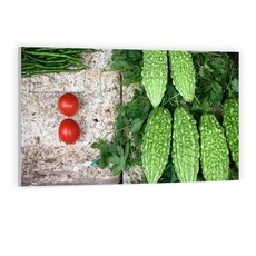 주방식물아트보드