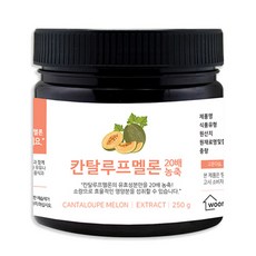 칸탈로프