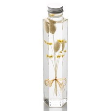 ilogu 植物標本室6角瓶, 象牙