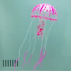 b6ad581d-177b-457f-b17c-c25e5d55550c.jpg