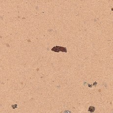 f10b97a6-70f3-4b44-991e-640804d5d091.jpg