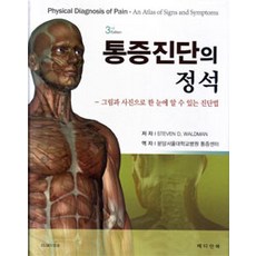 통증진단의정석