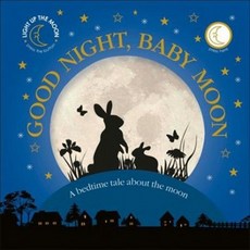 Good Night Baby Moon, DK Publishing (Dorling Kinde..