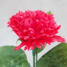 540bfeb5-21f8-46e7-b9bf-f8705b5082c9.jpg