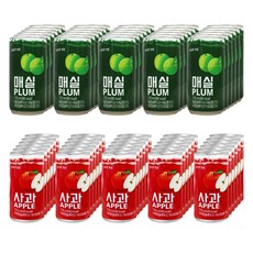 롯데 매실주스 175ml x 30p + 사과 음료 175ml x 30p, 1세트