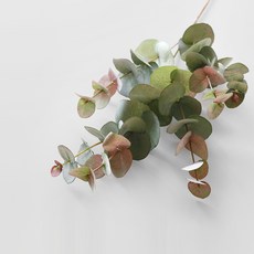 99dd31d3-df3b-4f2d-a1a4-d9b9c445be53.jpg