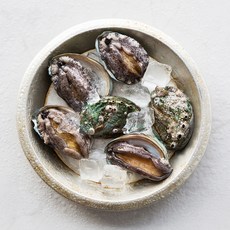 산소싱싱팩 완도 전복 대복, 500g(4~6마리), 1개