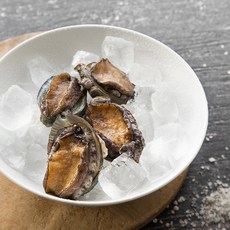 생물완도 전복 중복, 220~260g(4마리), 1개