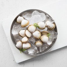 국내산 동죽조개, 200g 내외, 1개