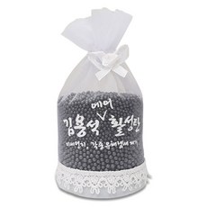 석코리아 김용석 에어활성탄 제습제 본품, 400g, 1개