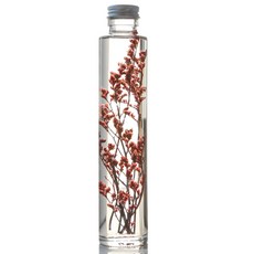伊洛古圓瓶植物標本室, 迷霧酒