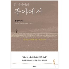 존 비비어의 광야에서:하나님 도대체 어디 계십니까, 두란노서원