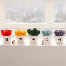 아스파시아 무지개 응원 모스 미니화분 5p 넌할수있어 1세트
