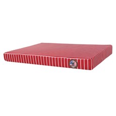 반려동물기초수습