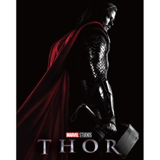 마블캐릭터스노클링