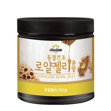 초담식품 동결건조 로얄젤리 분말, 300g, 1개