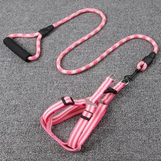 찰리스백야드하네스