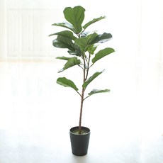 모리앤 떡갈고무 조화나무 80cm, 혼합 색상, 1개