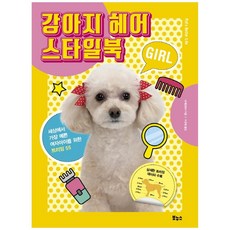 이마다미오스타일북