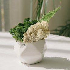 스칸디내츄럴액자