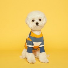 플로트 스탠다드 강아지 맨투맨 티셔츠, 스트라이프 옐로우 + 스카이블루