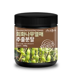 국산회화나무열매