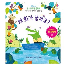 Usborne 왜 화가 날까요?:우리 아이 첫 과학책 | 감정, 어스본코리아