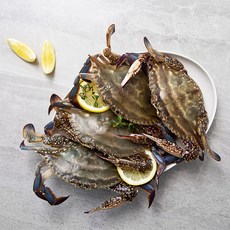 피시원 빙장 봄 암꽃게 (냉장), 1kg (3~4미), 1박스