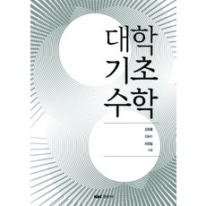 calculus대학수학pdf