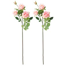 39ee5da6-da49-4fee-a855-4519a8b42a52.jpg