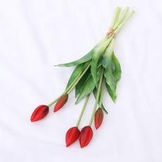 조화 5송이 튤립 번들 대, 레드, 1개