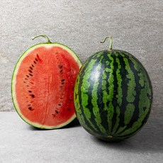 굿뜨래 당도선별 수박, 8kg 미만, 1통