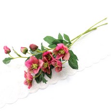 722fdeab-95d8-428e-a3e7-12dbd2ff5cc3.jpg