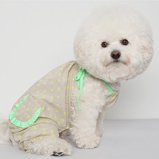 강아지어부바옷